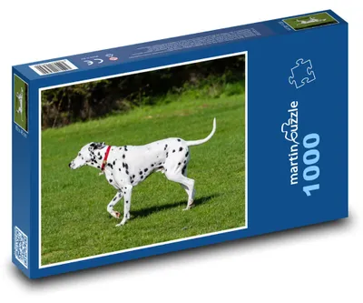 Obrázok produktu pre Puzzle 1000 Dalmatínec na zelenej lúke - martinpuzzle