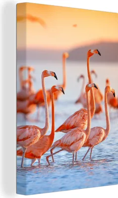 Produktbild von OneMillionCanvasses® - Leinwandbilder - 90x140 cm, Flamingo - Tiere - Wasser - Rosa, Wandbilder Kunstdruck Wanddekoration - Foto auf Leinwand - Gemälde auf Holzrahmen  - Wandschmucke - Schlafzimmer