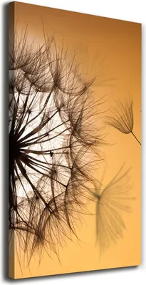 Imagen del producto de Tulup Lienzo® - 70x140 cm - Obra de arte para pared - Impresiones sobre lienzo - Impresión en lienzo - Decoración de pared para salón de gran tamaño - Decoración para el hogar, impresiones artísticas - Flores y plantas - Naranja - Diente de león