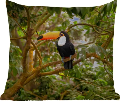 Produktbild von MuchoWow® Outdoor Kissen - Vogel - Tukan - Dschungel - Natur - Tropisch - 40x40 cm - Wetterfest - Lounge Kissen - Kopfkissen - Interieur - Polster mit Bild