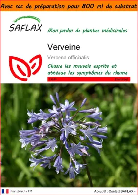 Image de SAFLAX Garden in the bag - Verveine - 250 graines - Verbena