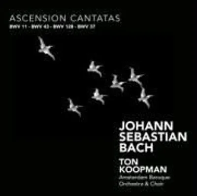 Produktbild von Kantaten BWV 11,37,43,128