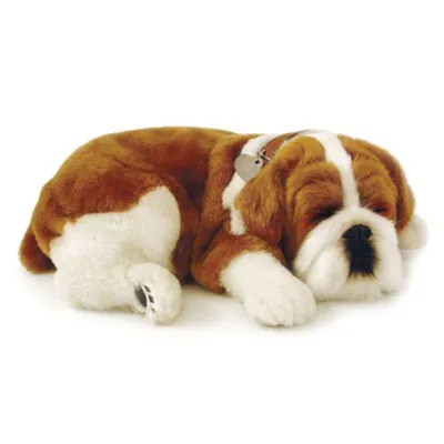 Produktbild von Perfect Petzzz 96248 Bulldogge