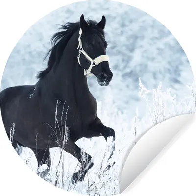 Produktbild von MuchoWow® Runde Wandtattoo - Wandsticker Tapete Aufkleber Pferd - Schnee - Winter Ø 100 cm Selbstklebend und Repositionierbar - Wandaufkleber - Kreis - Tapetenkreis - Wandbild rund - Schlafzimmerdekoration - Wanddeko - runde Tapete - Kunst für zu Hause