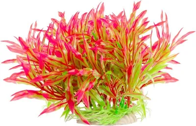 Immagine prodotto di Kruger Meier Erba rosa - pianta artificiale