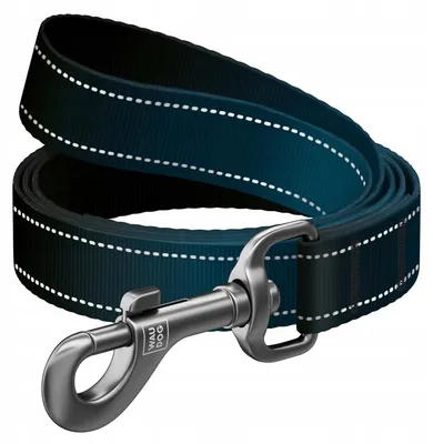 Produktbild von WAUDOG Nylon Mono Hundeleine reflektierend schwarz
