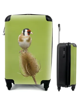 Produktbild von MuchoWow® Koffer Handgepäck Trolley Rollkoffer Kleine Reisekoffer mit 4 Rollen - Ein kleiner Stieglitz sitzt auf einer Blume - Cabin Size < 55x40x23 cm & 55x40x20 cm - Fotokoffer - Kabinenkoffer - Boardgepäck - Reise-Box - Reisekoffer - Reisegepäck - Koffer mit Bild - Trolley für Kinder