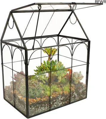 Imagen del producto de Terrario artesanal con forma de casa, ideal para plantas suculentas y de aire