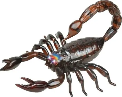 Image de RC Scorpion