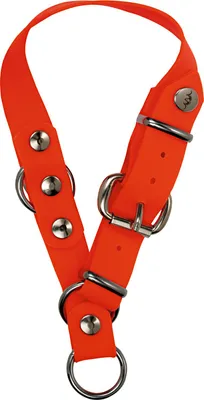 Produktbild von Blaser Hundehalsung Professional (30-35 cm)