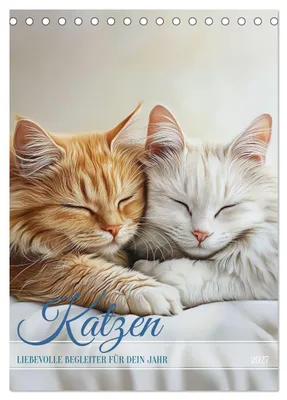 Produktbild von Katzen (Tischkalender 2027 DIN A5 hoch), CALVENDO Monatskalender