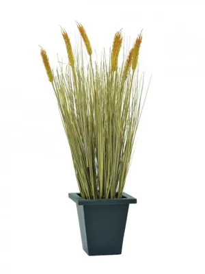 Obrázek produktu pro Europalms Weizen erntereif künstlich 60cm 82505867