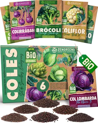 Imagen del producto de ZenGreens® Semillas Eco de Coles – Set 6 Variedades de Polinización Libre