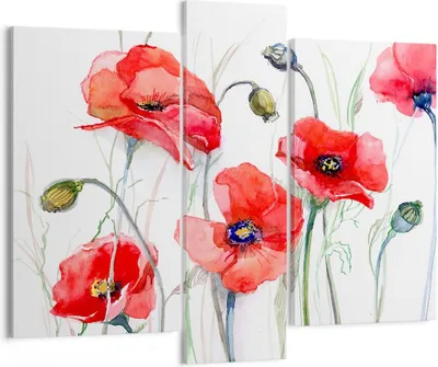 Produktbild von Bild auf Leinwand - Leinwandbild - Blume Mohn Wiese - 95x80cm - Wand Bild - Wanddeko - Wandbilder - Leinwanddruck - Bilder - Kunstdruck - Wanddekoration - Leinwand bilder - Wandkunst - CB95x80-3584
