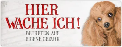 Produktbild von Metallschild mit Pudel Motiv und Spruch: Betreten auf eigene Gefahr ... Schild