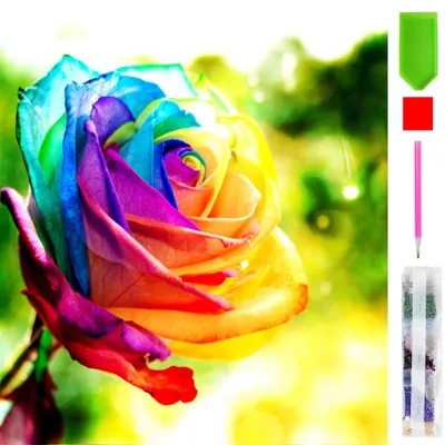 Produktbild von Malen nach Zahlen 5d Diamond Painting Bunte Rose Malen nach Zahlen 30x30cm