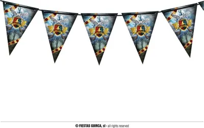 Obrázek produktu pro Girlanda čaroděj - kouzelník Harry - 300 cm