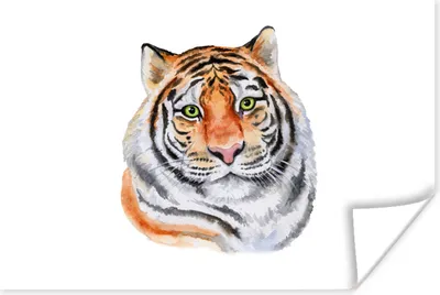Produktbild von MuchoWow® Poster Tiger - Augen - Weiß 180x120 cm - Fotoplakat
