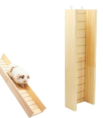 Image de Rampe d'escalade en bois pour petits animaux, 60 cm. Pont d'escalade, échelle, accessoire pour cage