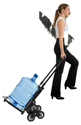 Immagine prodotto di Carrello saliscale, portata 150 kg, struttura in acciaio, 10 ruote, design pieghevole, adatto a diverse superfici