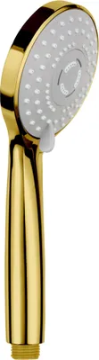 A close-up studio shot of a gold-colored shower head.