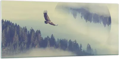 Produktbild von Bilder auf glas - Vogel Natur Wald - 120x50cm - Glasbilder - Wandbilder - Kunstdruck - zum Aufhängen bereit - Wanddekoration aus Glas - Glas Bilder - Wandbild auf Glas - Einteilig - GAB120x50-3853