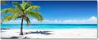 Immagine prodotto di Tulup® Pannello decorativo in vetro - 125x50 - Arte da parete - Pannello decorativo realizzato con vetro temperato di sicurezza - Ideale per la cucina e il soggiorno - Motivo: paesaggio - Spiaggia tropicale - Colore: blu