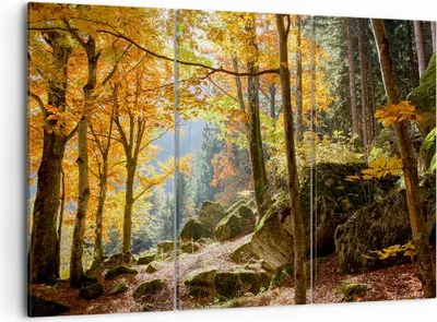 Produktbild von Bild auf Leinwand - Leinwandbild - Herbst berg wald natur - 105x70cm - Wand Bild - Wanddeko - Leinwanddruck - Bilder - Kunstdruck - Wanddekoration - Leinwand bilder - Wandkunst - CE105x70-2713