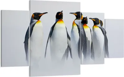 Produktbild von Bild auf Leinwand - Leinwandbild - Pinguine Winter Schnee Spaziergang - 160x90cm - Wand Bild - Wanddeko - Leinwanddruck - Bilder - Kunstdruck - Leinwand bilder - Wandkunst - DL160x90-2893