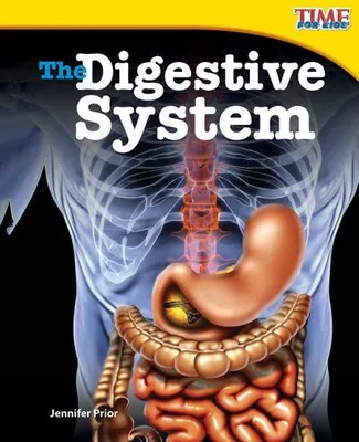 Produktbild von The Digestive System