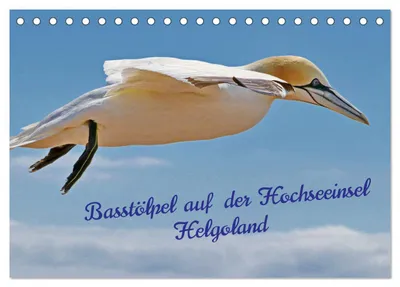 Produktbild von Basstölpel auf der Hochseeinsel Helgoland (Tischkalender 2027 DIN A5 quer), CALVENDO Monatskalender