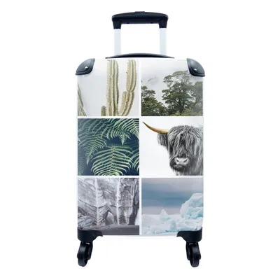 Produktbild von MuchoWow® Koffer Handgepäck Trolley Rollkoffer Kleine Reisekoffer mit 4 Rollen - Schottischer Highlander - Collage - Kaktus - Pflanzen - Cabin Size < 55x40x23 cm & 55x40x20 cm - Fotokoffer - Kabinenkoffer - Boardgepäck - Reise-Box - Reisekoffer - Reisegepäck - Koffer mit Bild - Trolley für Kinder