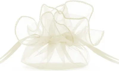 Produktbild von 10 Cremefarbenen Organza Beutel Harmony 25cm