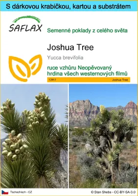 Obrázek produktu pro SAFLAX Dárková sada - Joshua Tree - Yucca brevifolia - 10 Semena - S dárkovou krabičkou, přepravním štítkem, dárkovou kartou a pěstebním médiem
