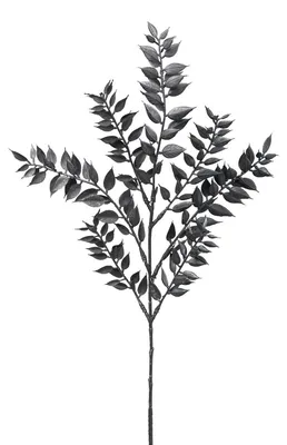 Produktbild von Gasper Ruscuszweig schwarz 52 cm - Kunstpflanze
