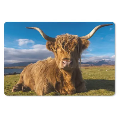 Produktbild von MuchoWow® Schreibtischunterlage Schottische Highlander - Tiere - Gras 60x40 cm - XXL Mauspad - Großes Mauspad