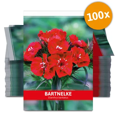 Produktbild von Bartnelke für Werbezwecke (100 Tütchen) | Nelkensamen von FLORTUS