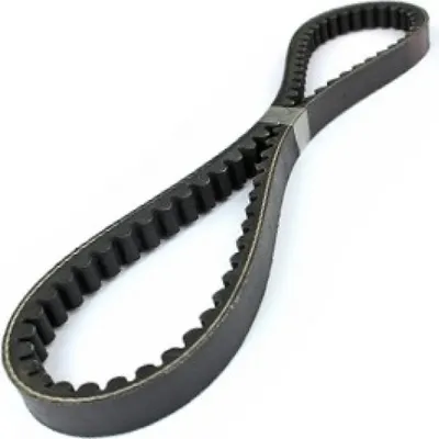 Image de Courroie trapézoïdale TNT 744 x 16,3mm compatible avec Minarelli long