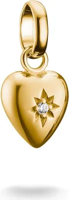 Produktbild von Thomas Sabo Charm-Anhänger Herz mit Stern Vergoldet CC1234-414-14
