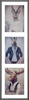 Produktbild von Fotolijst - Napoli Gallery - 20x69 cm