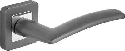 Image de Zlizg Poignée De Porte Linea Graphite