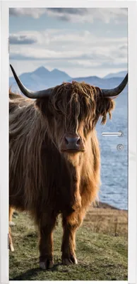Produktbild von MuchoWow® Türtapete Selbstklebende Türfolie Schottische Highlander - Bergen - Meer 90x205 cm Türposter Türaufkleber Klebefolie Türklebefolie - Türaufklebern