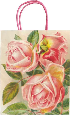 Image de Sac décoratif A5 STBAG140 roses roses