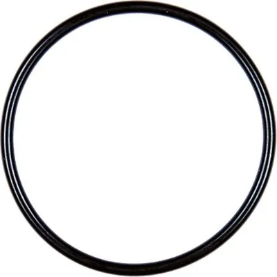 Produktbild von VDO AGR-Ventil-Dichtung A2C59516938 für VW Golf IV Schrägheck (1J1) Gummi