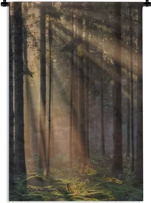 Produktbild von MuchoWow® Wandteppich Wandbehang Bäume - Wald - Sonne - Pflanzen 60x90 cm Tapisserie Dekoration Wandtuch - Foto-Teppich - Abwaschbar