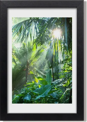 Produktbild von Bild 20x30 MDF-Rahmen, Wandkunst Dschungel