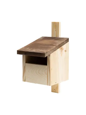 Zdjęcie produktu dla Woodygift Budka lęgowa Typ P dla ptaków drewniana opalana budka dla kopciuszka rudzika pliszki kosa z daszkiem