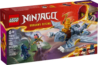 The image shows the packaging of a LEGO Ninjago toy set, featuring a dragon and minifigures.
