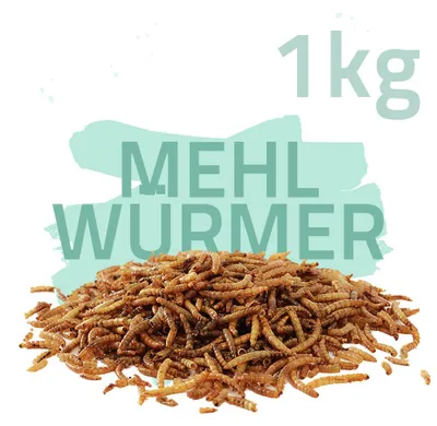 Mehlwürmer getrocknet 1kg
