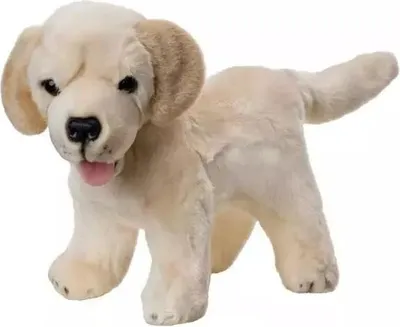 Image de Chiot Lablador debout 25cm
